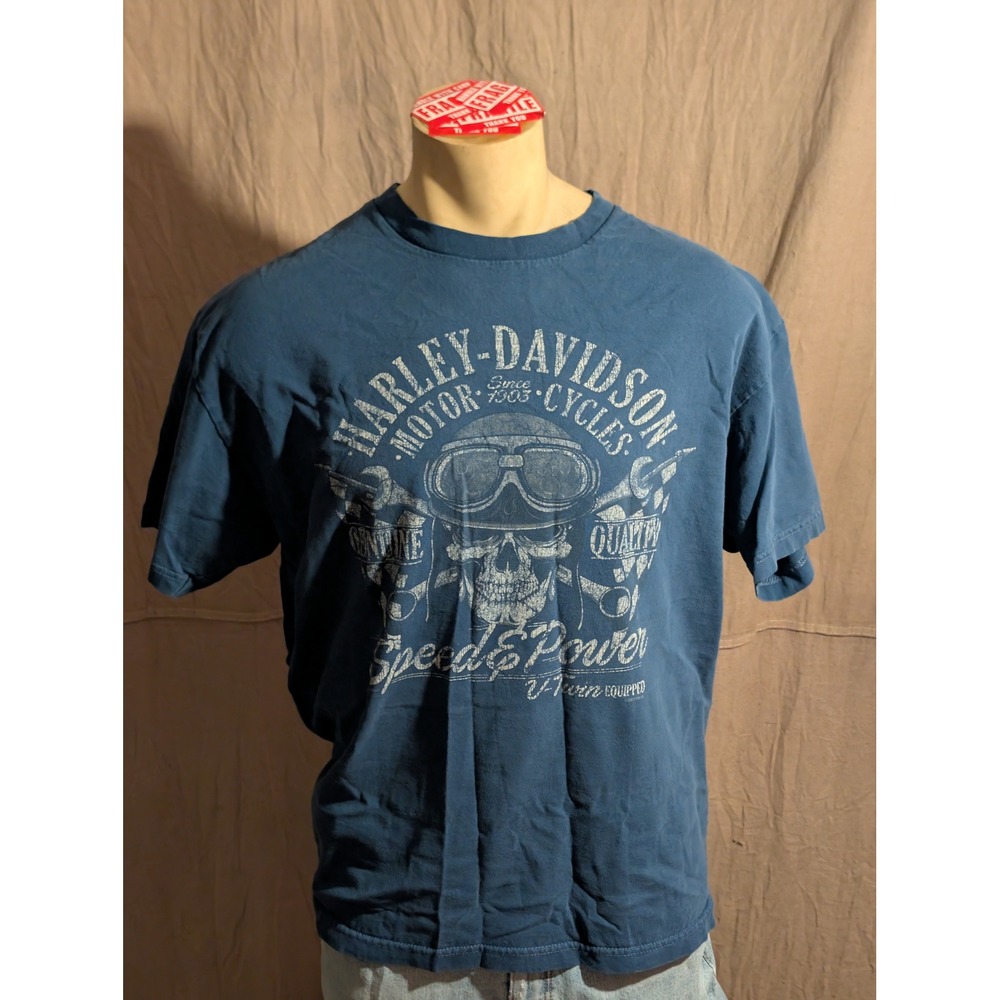 Harley Davidson Graphic Tee Mens XL Blue Excellent Skull Durango Colorado Biker
